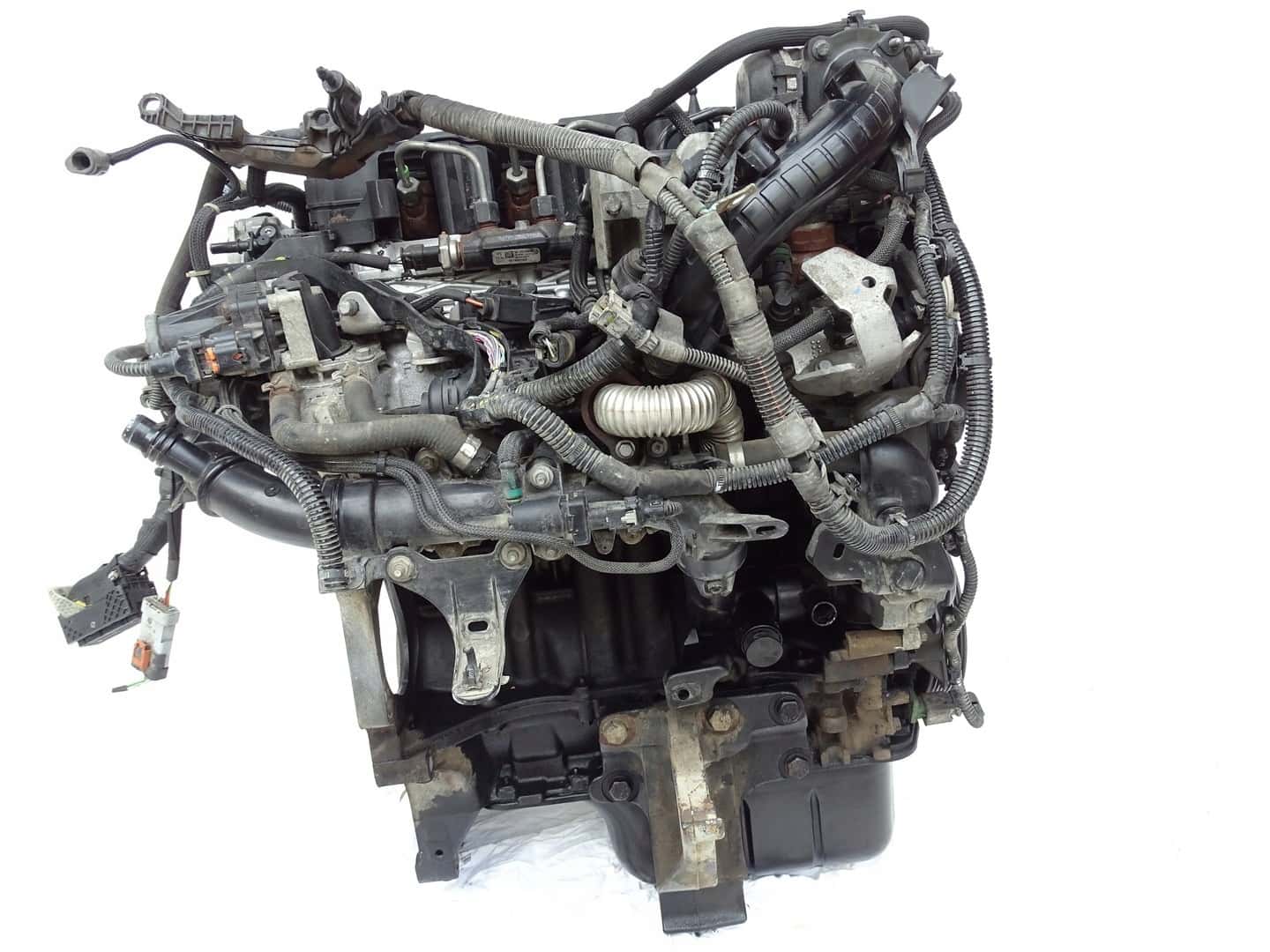 Moteur D 15 DTH (DV5RC) vue 4