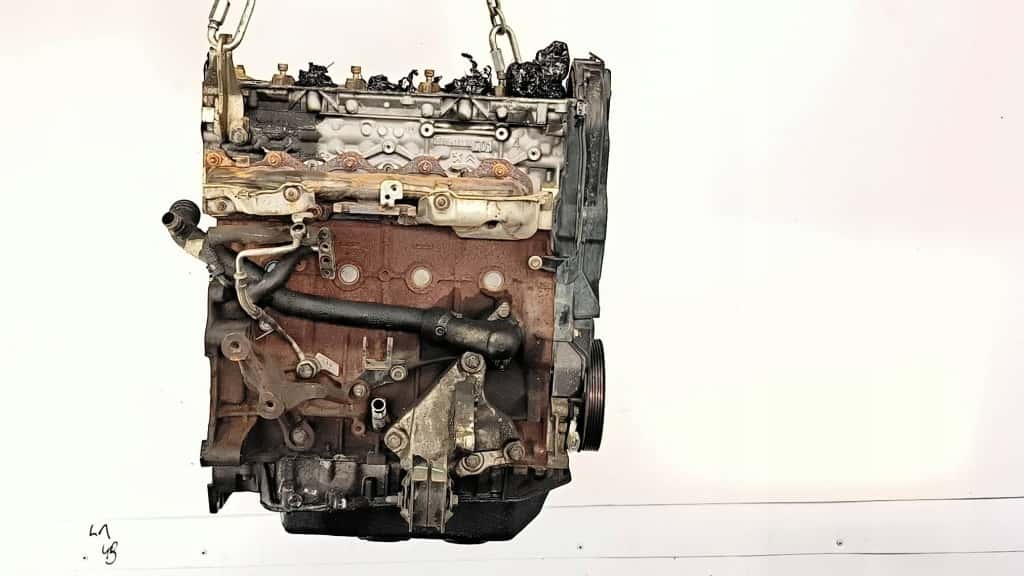 Moteur RHD (DW10CTED4) vue 4