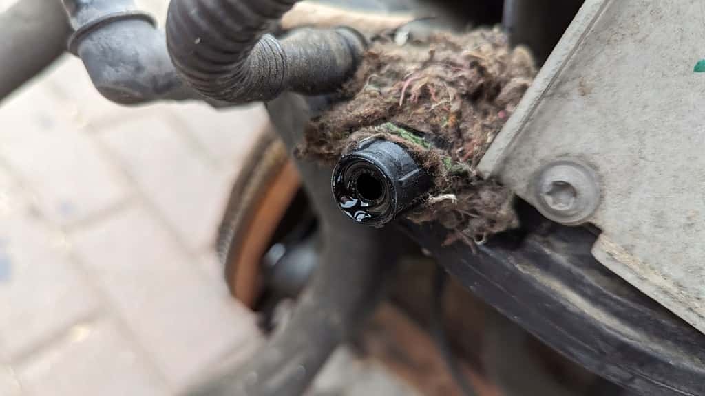 Moteur CAXA vue 3