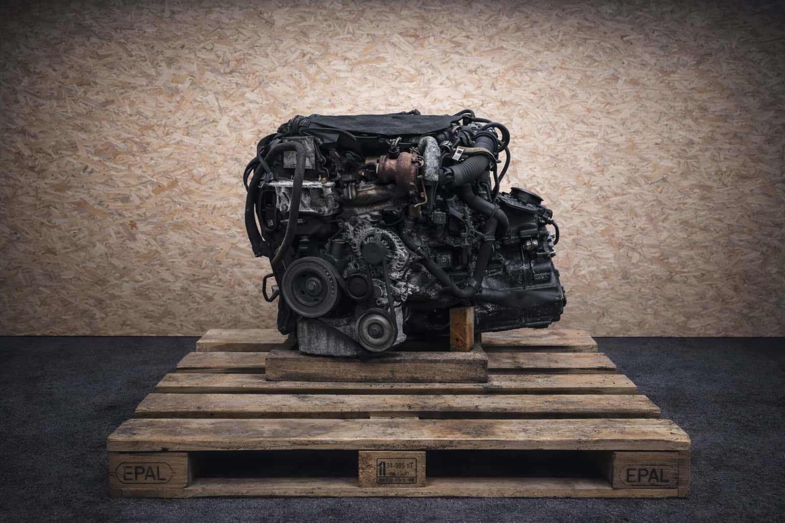 Moteur D 15 DT (DV5RUCD) vue 2