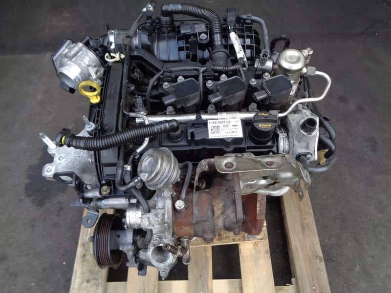 Moteur M1DD pour Ford Focus