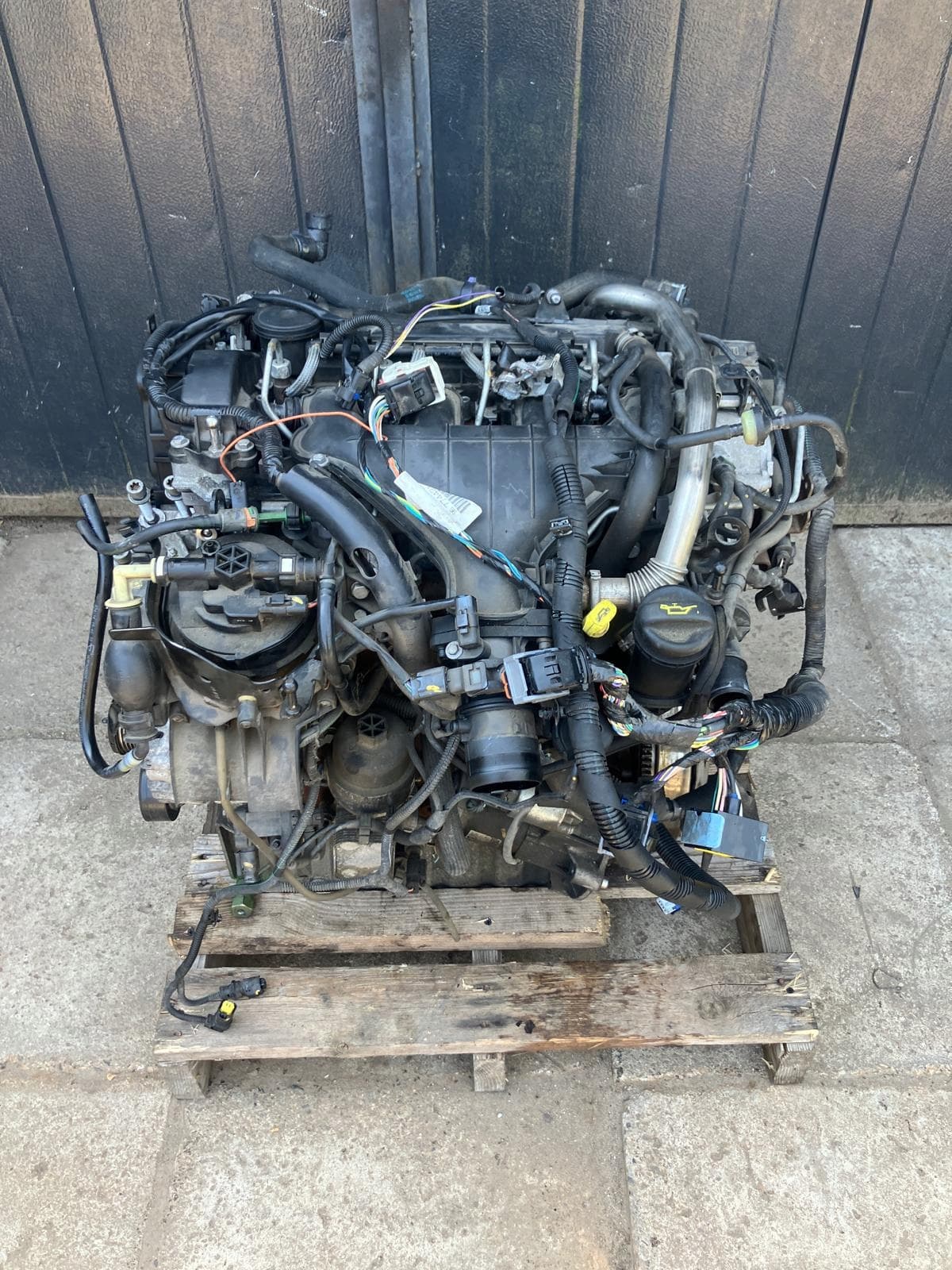 Moteur RHE (DW10CTED4) - Image 1