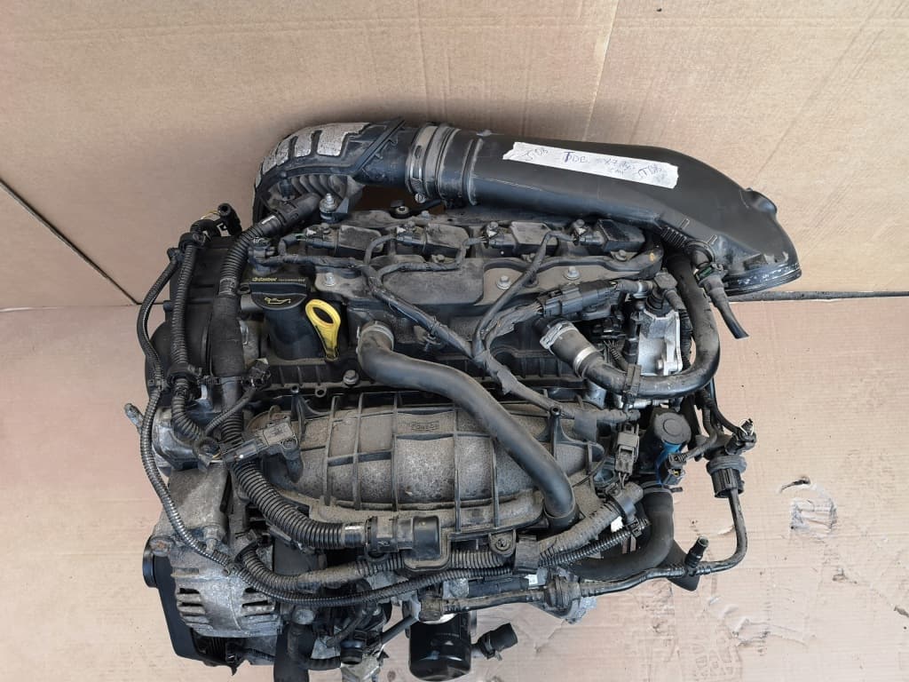 Moteur JQDB pour Ford Focus