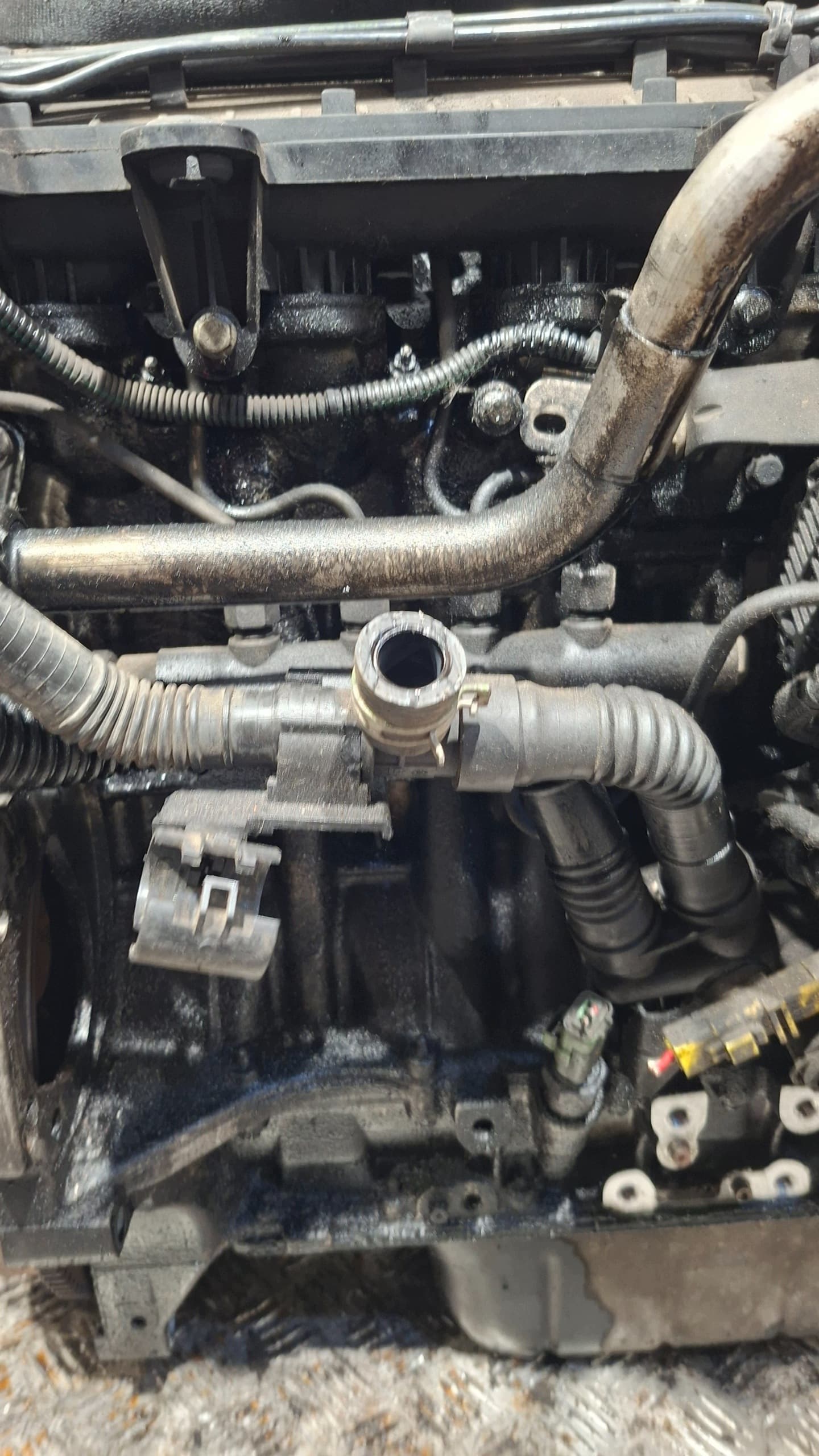 Moteur 8HZ (DV4TD) — vue 7