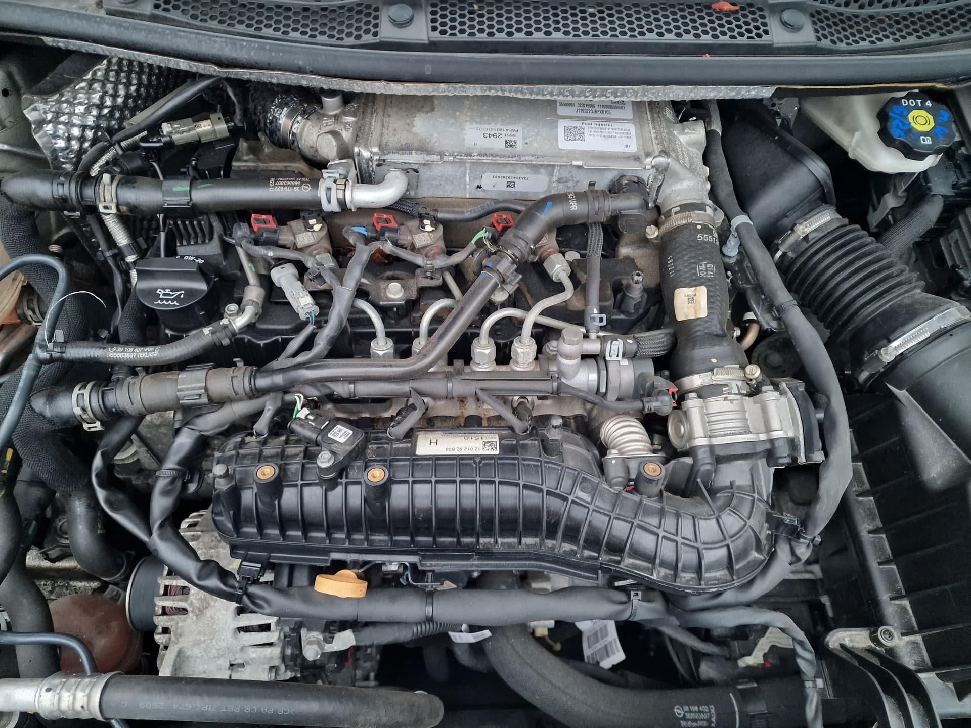 Moteur F 15 DVH - Image 1