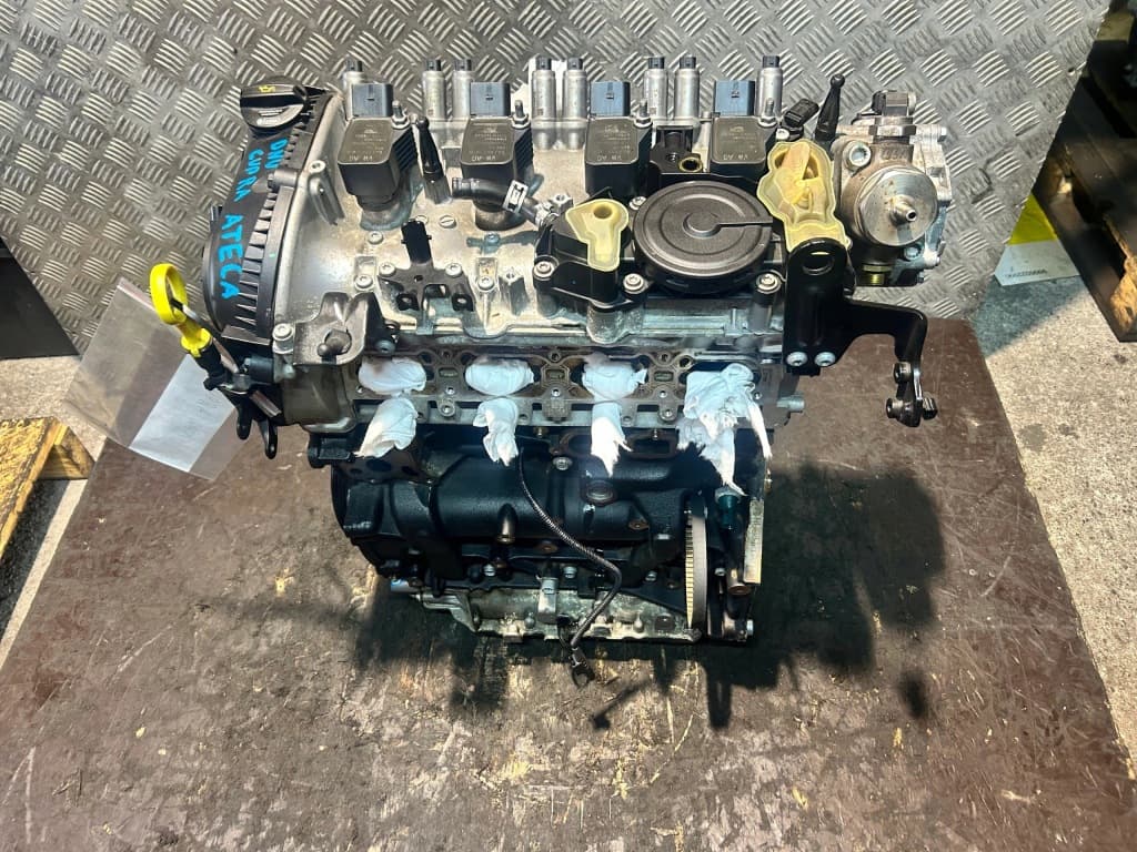 Moteur DNUF pour Cupra