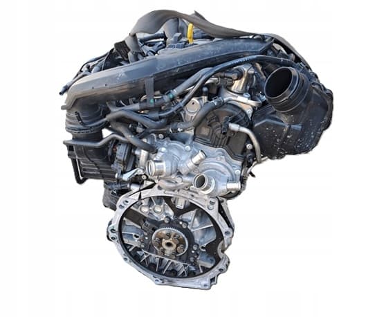 Moteur DXDB pour Cupra