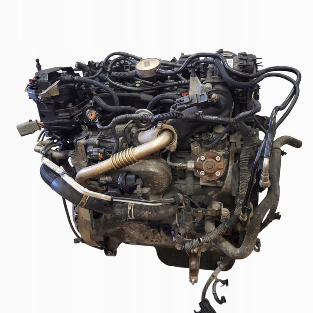 Moteur XWDA pour Ford Focus