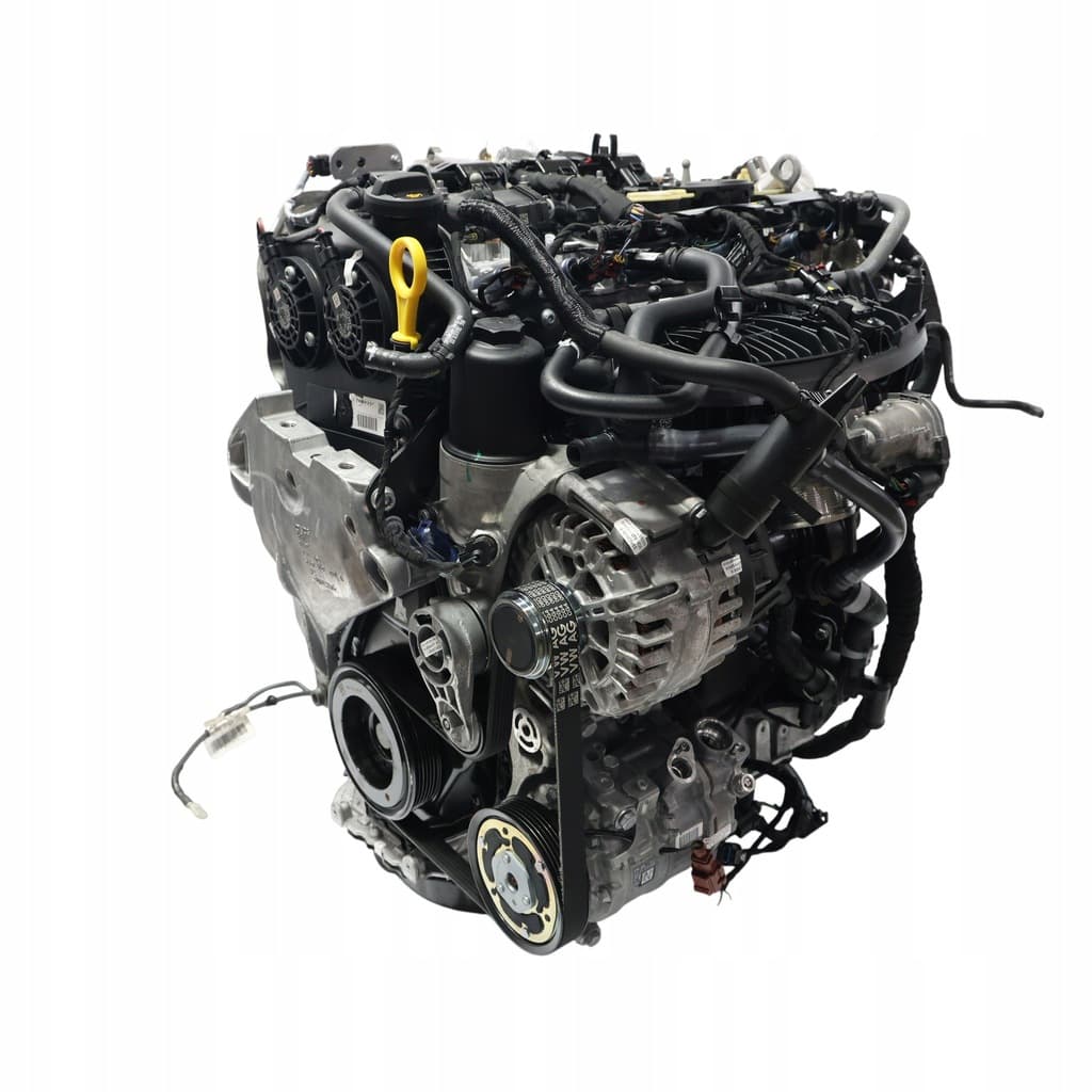 Moteur DNND pour Cupra