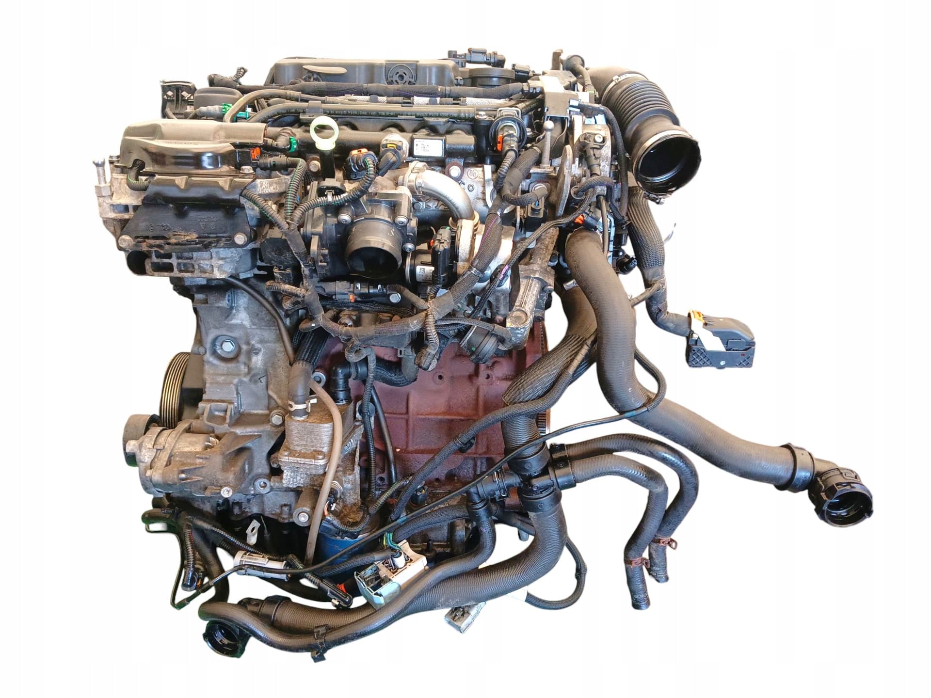 Moteur EHZ (DW10FC) - Image 1