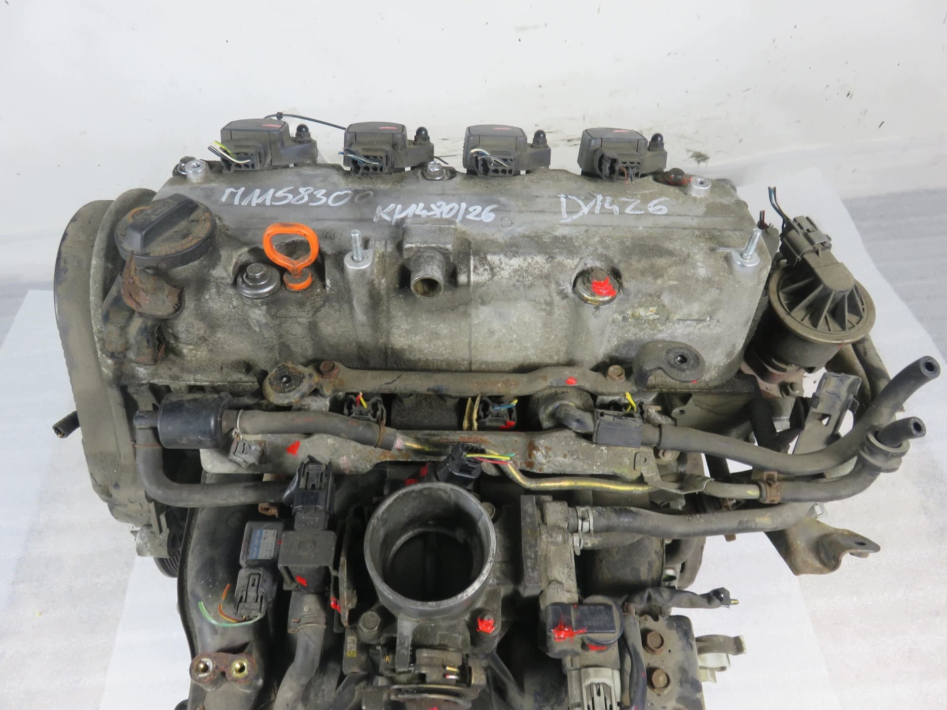 Moteur D14Z6 - Image 1