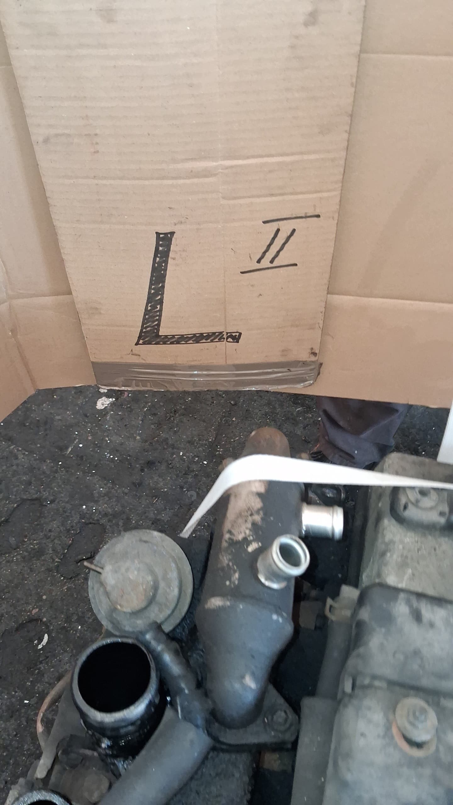 Moteur 4D56 (8V) — vue 2
