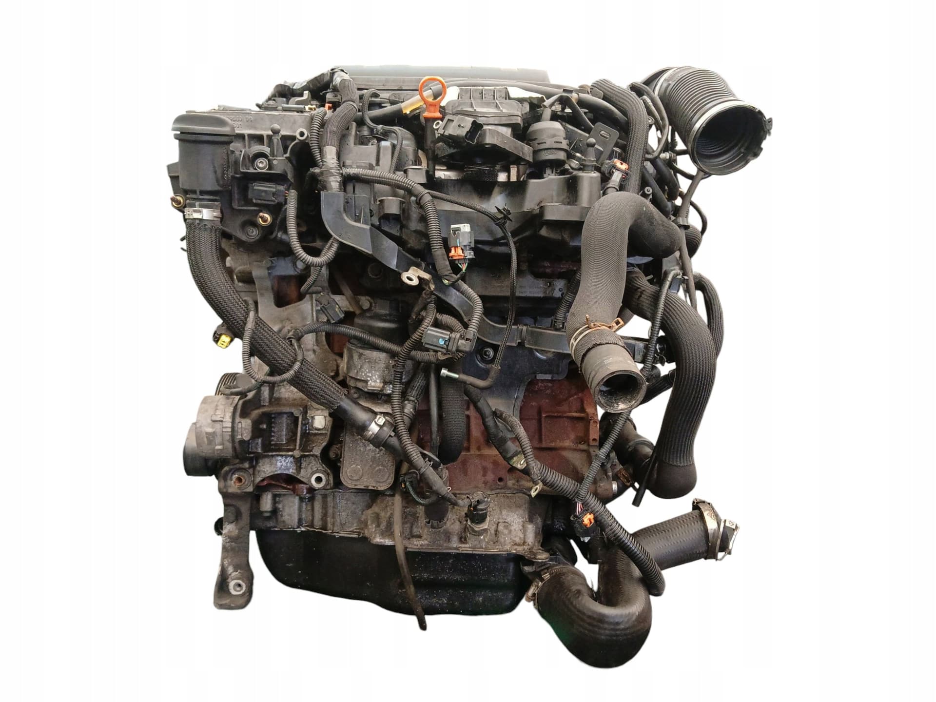 Moteur RHH (DW10CTED4) - Image 1