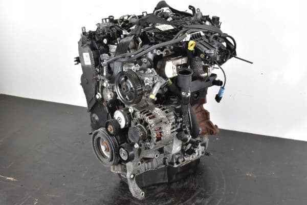 Moteur TXDB pour Ford Focus