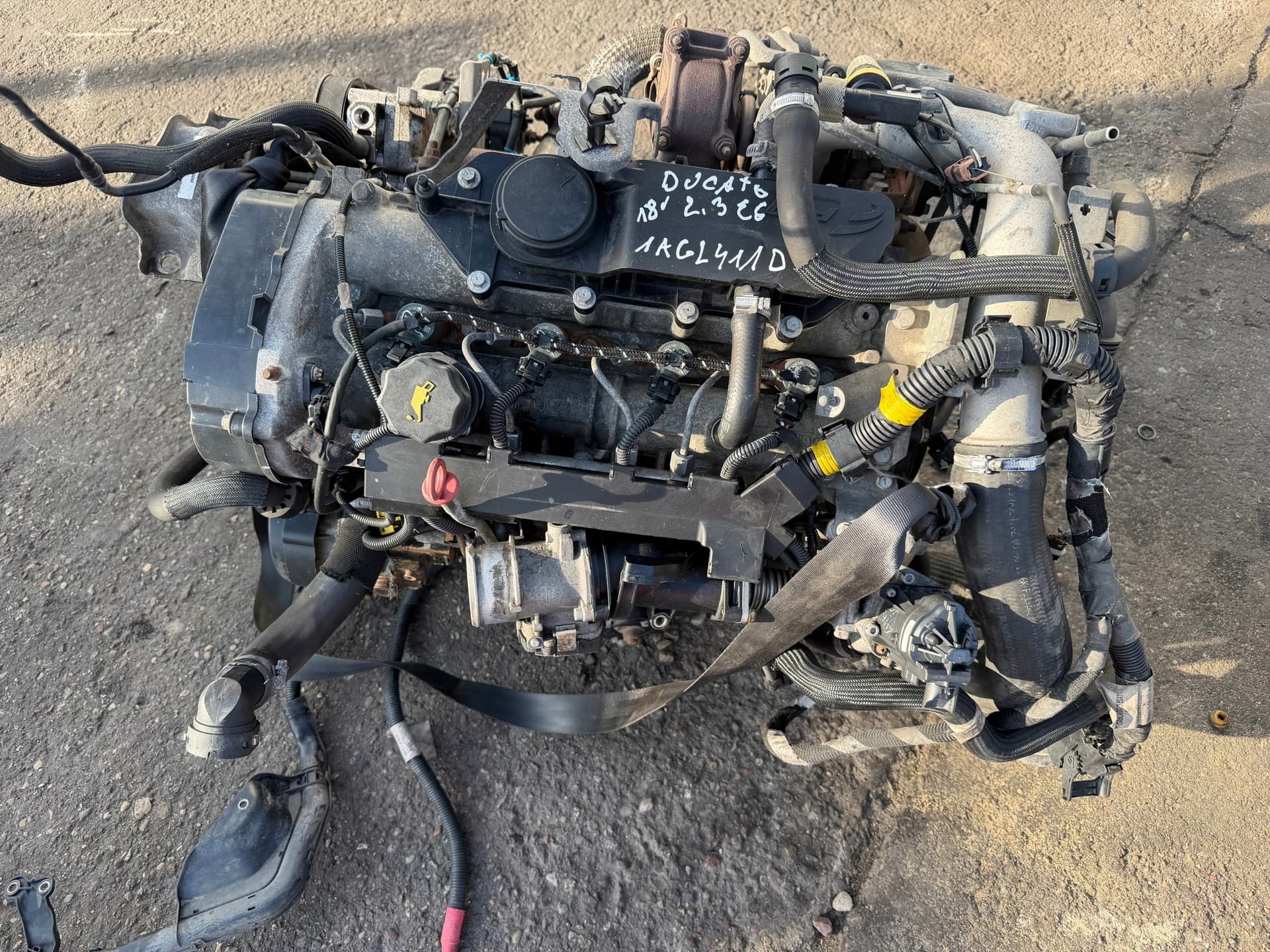 Moteur F1AGL411D - Image 1