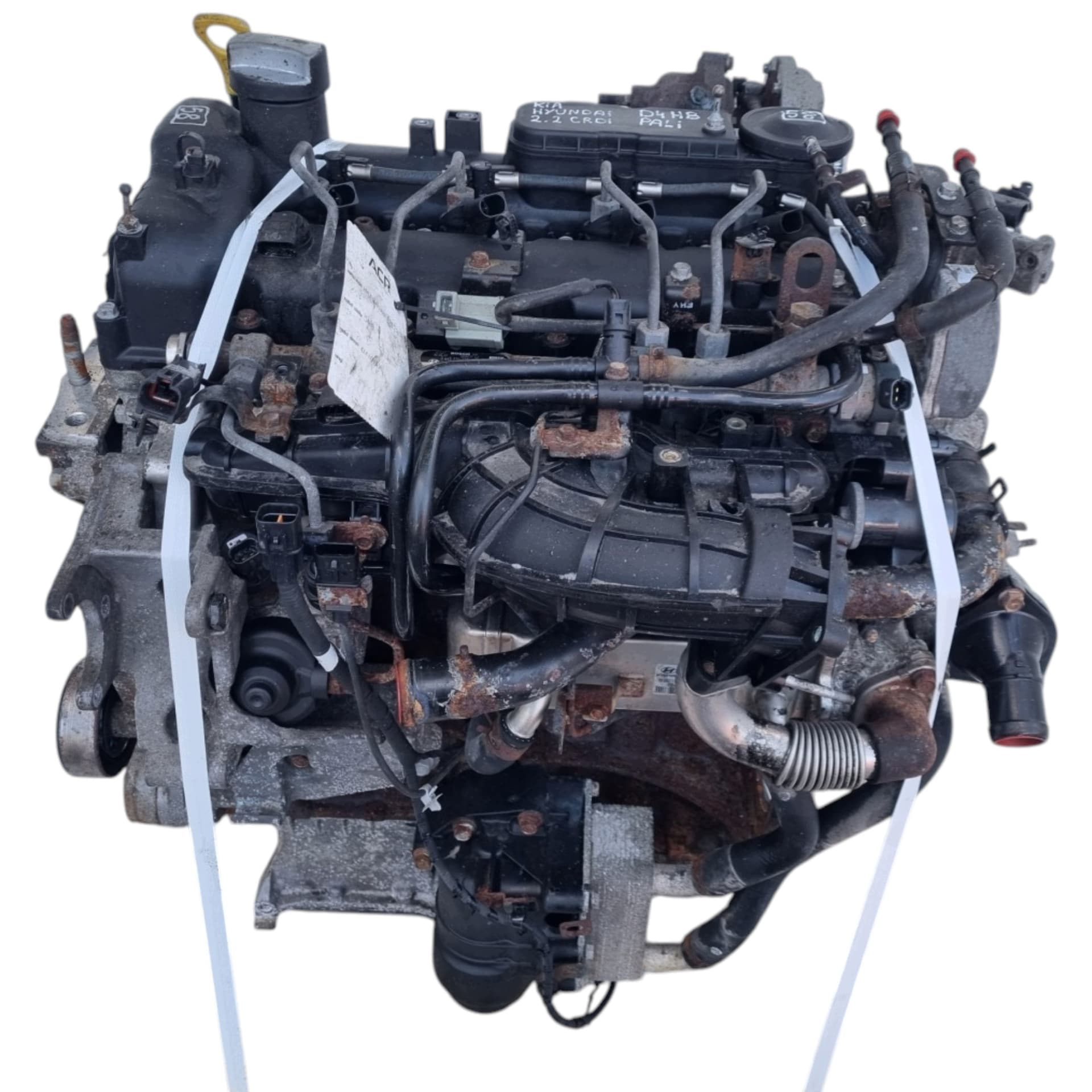 Moteur D4HB - Image 1