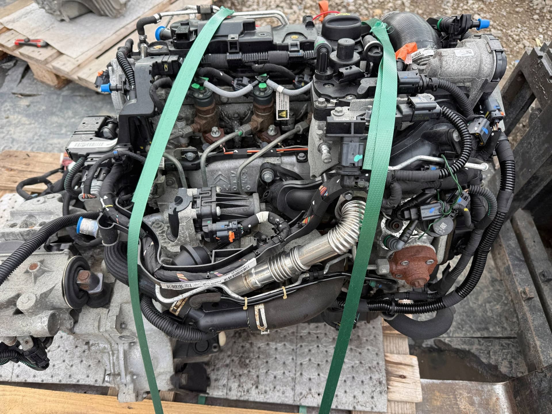 Moteur 8HP (DV4C) — vue 2