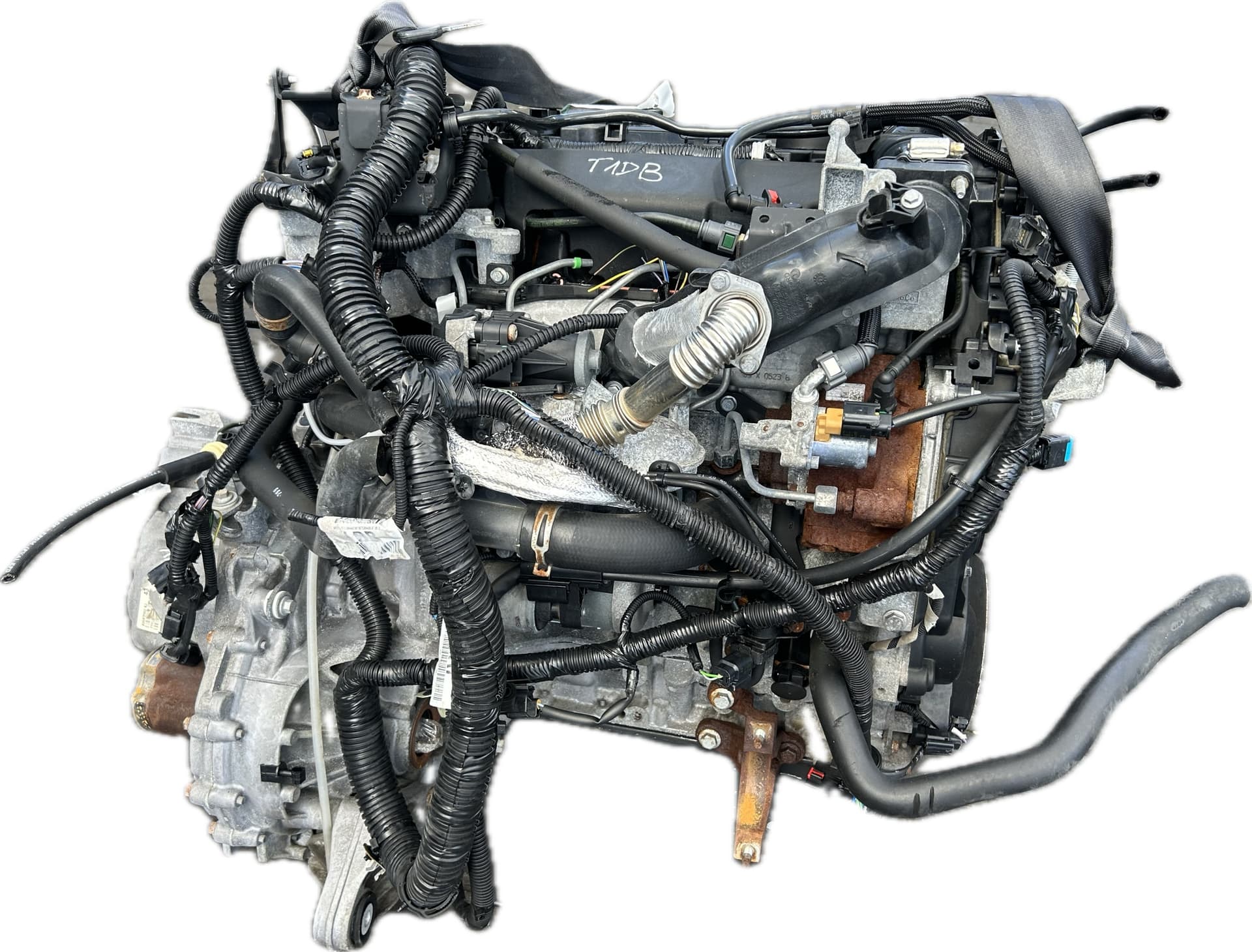 Moteur T1DB pour Ford